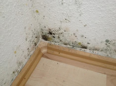 Schimmel im Schlafzimmer