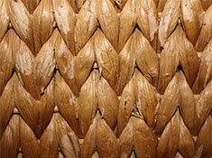 Rattan