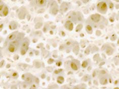 Talalay-Latex