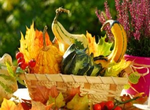 Balkon-herbstlich-dekorieren