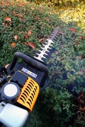 Hecke-schneiden