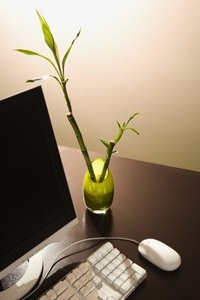 feng-shui-arbeitszimmer