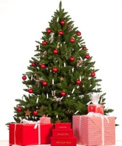 weihnachtsbaum-lagern weihnachtsbaum-lagern