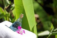 wellness-2