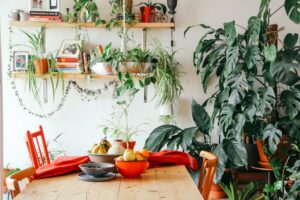 Biophilic Design in Esszimmer und Küche