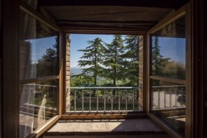 Luft und Licht im Biophilic Design