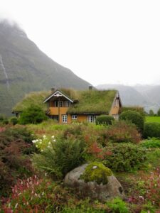 Biophilic Design und Nachhaltigkeit
