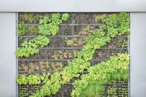 Vertikale Begrünung - Biophilic Design - Pflanzen