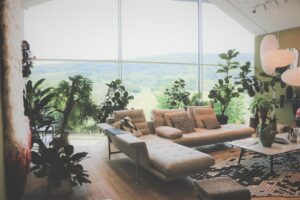 Warum gewinnt Wohnraumgestaltung im Biophilic Design an Bedeutung?