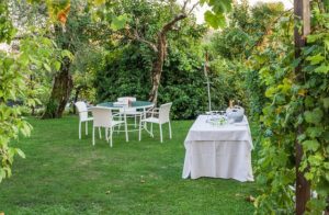 Einladung zur Gartenparty - So wird Ihr Fest ein Erfolg: Tipps, Infos und Hintergründe im Wohnen-shop.at Magazin online.