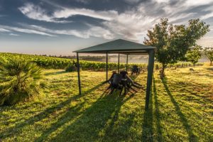 Pavillon im Garten sturmfest machen und vor Sturm schützen - Worauf ist zu achten?