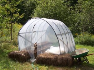 Nutzgarten gestalten Planung und Gestaltung eines Nutzgartens