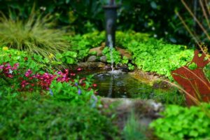 Gartengestaltung - Wassergarten planen und realisieren Wasser im Garten: Wassergarten gestalten