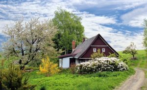 Pures Gartenglück: Tipps und Infos im großen Gartenratgeber im Wohnen-shop.at Magazin