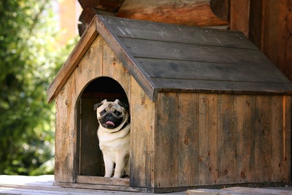 Hundehütte im Garten bietet Unterschlupf Es gibt vieles, worauf beim Bau einer Hundehütte geachtet werden muss.