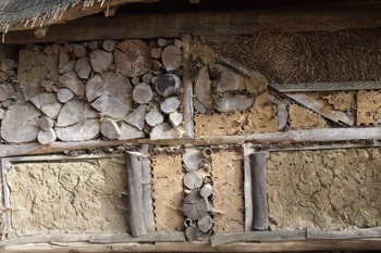 Nisthilfen für Insekten - insbesondere für Wildbienen - kann man selber bauen oder fertig kaufen.
