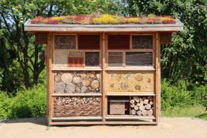 Wildtiere schützen: Insektenhotels im Garten aufstellen