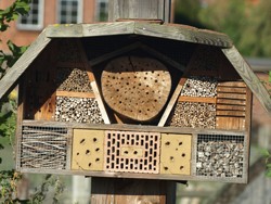 Erklärung, warum manche Insektenhotels nicht von Wildbienen und Co. angenommen werden.