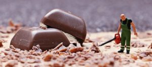 Laubbläser und Laubsauger - Muss man den Krach erdulden?