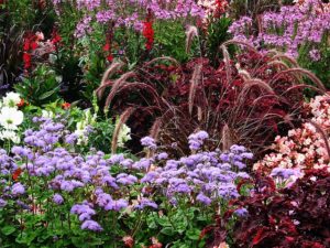 Sturmfesten Garten gestalten: Pflanzen vor Sturm schützen - darauf sollten Sie achten!