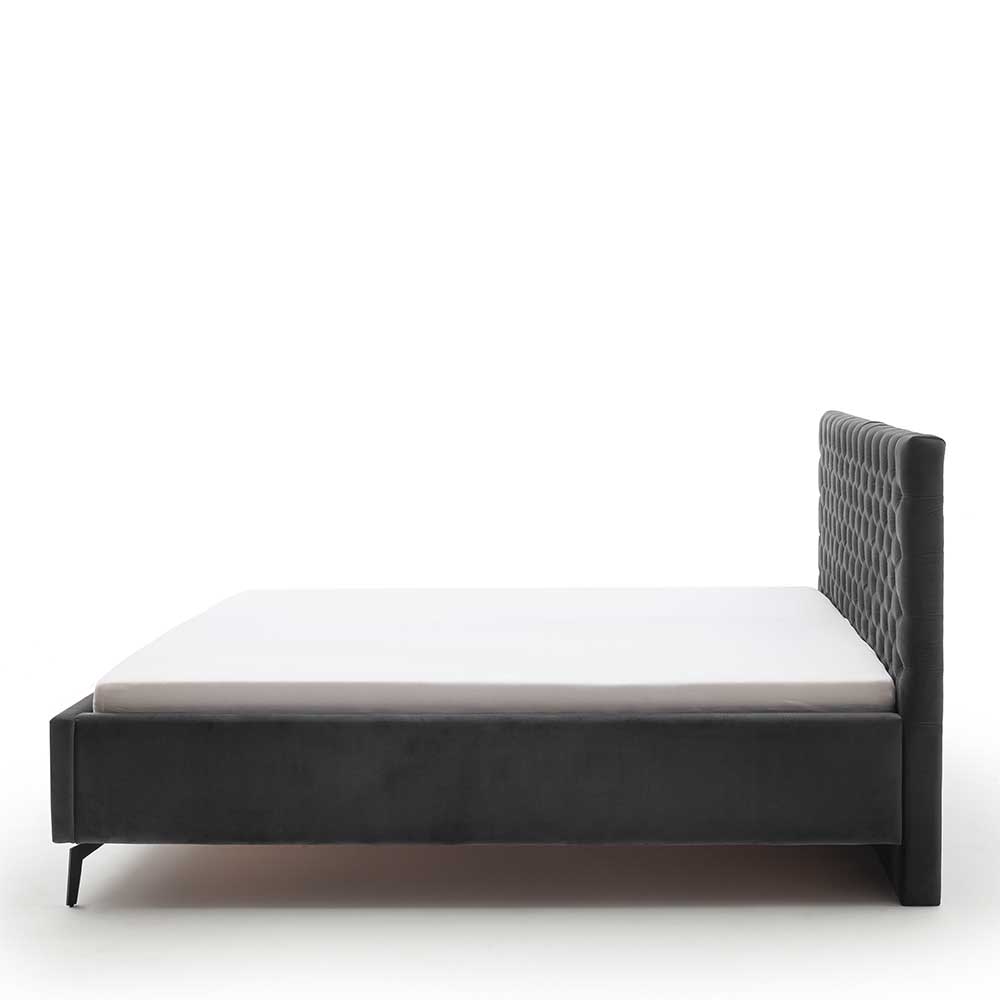 Chesterfield Samtbett in Anthrazit - Satos