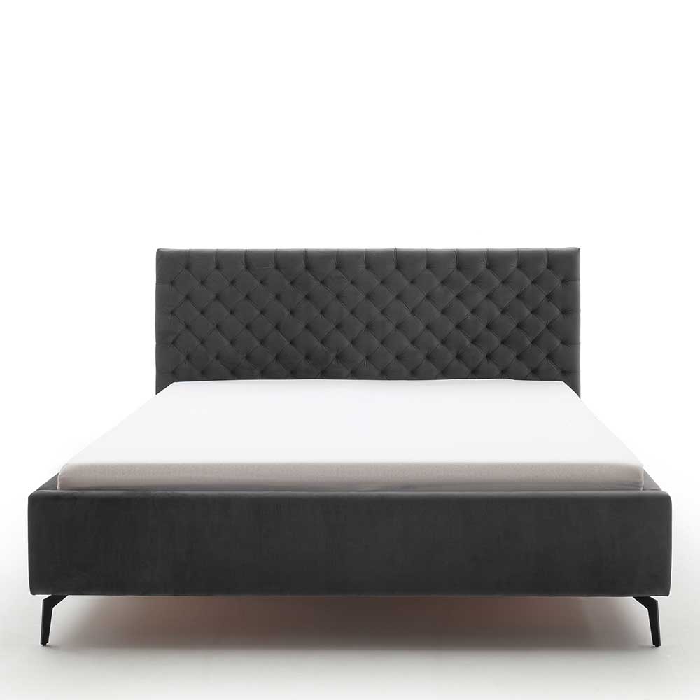 Chesterfield Samtbett in Anthrazit - Satos