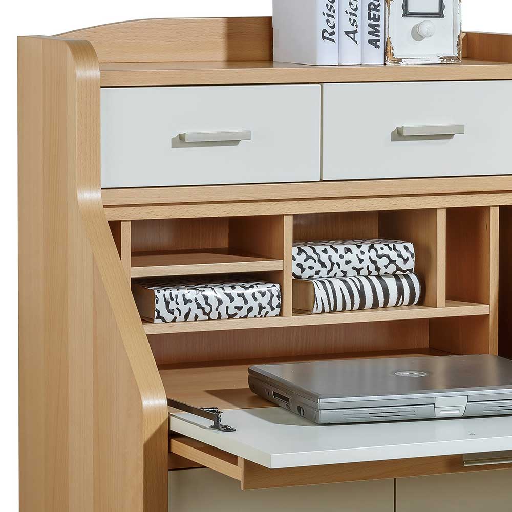 Hochwertiger Sekretär in Creme & Buche - Rayn