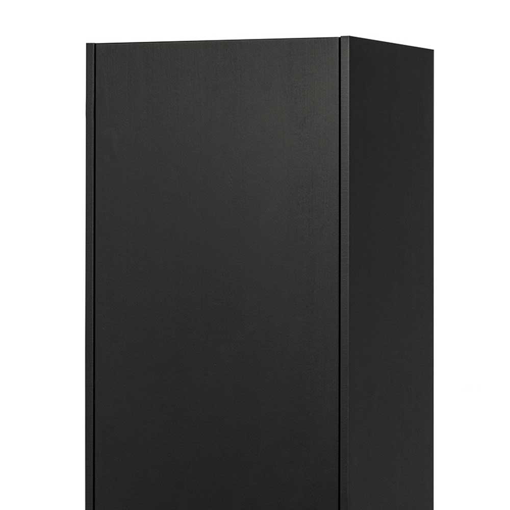 44x188x35 cm 1-türiger Schrank in Schwarz lackiert - Riley