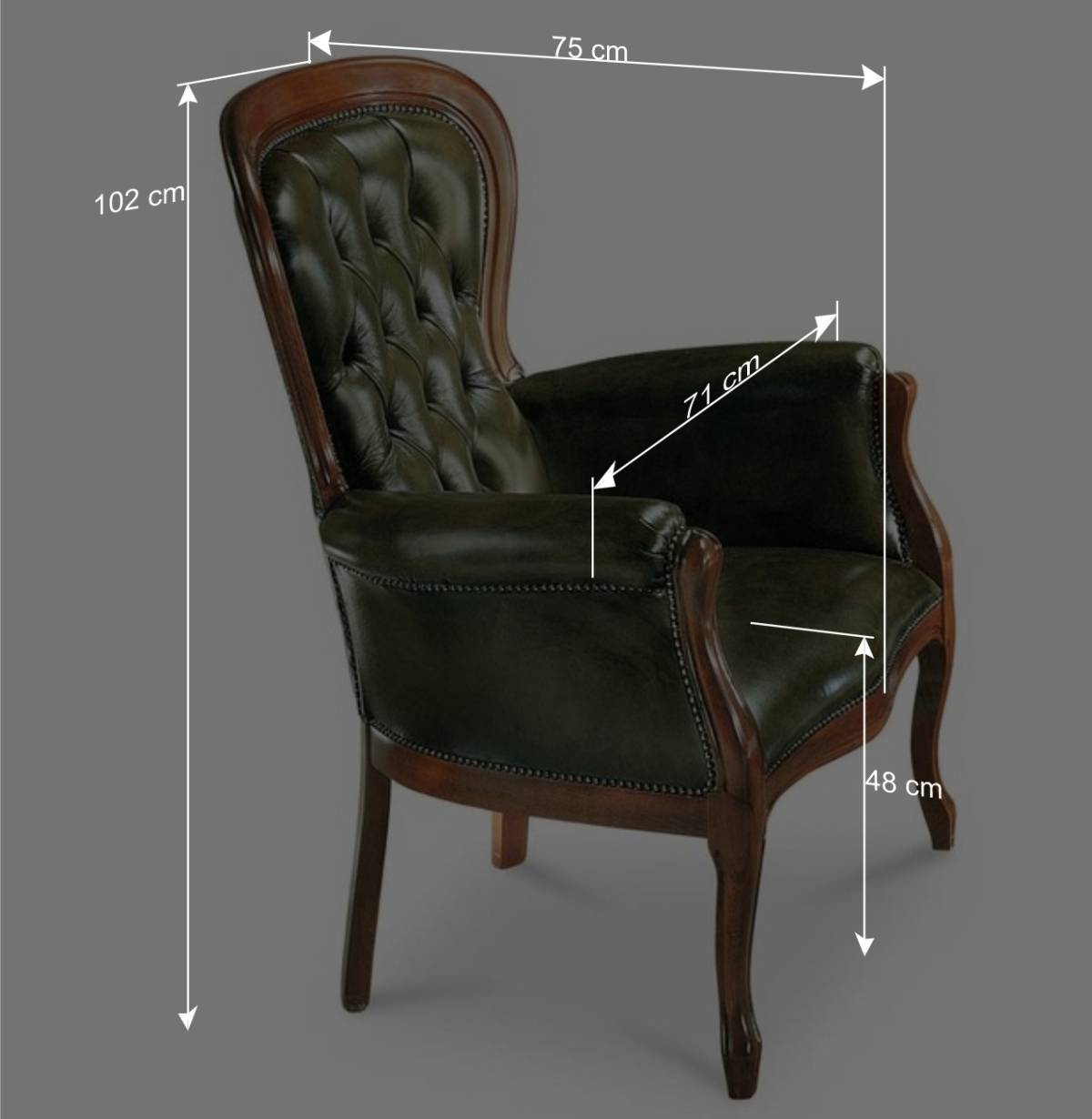 Chesterfield Armlehnstuhl Magari in Kunstleder Grün
