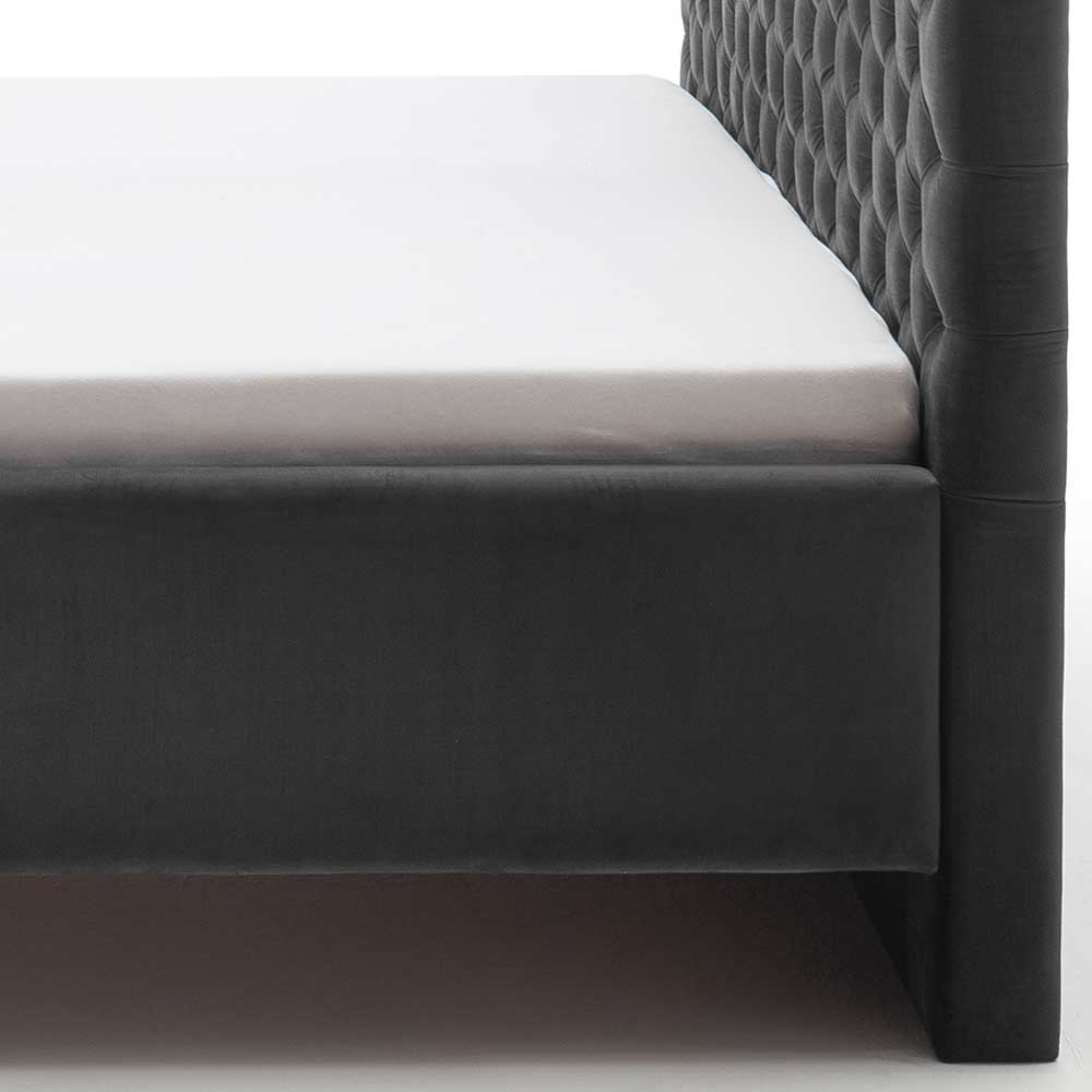 Chesterfield Samtbett in Anthrazit - Satos