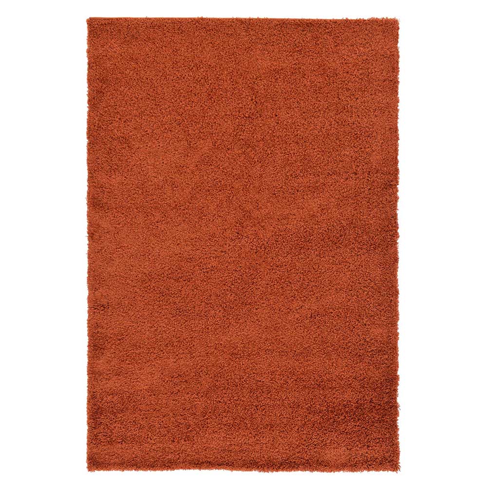 Teppich in Terracotta - Asutria