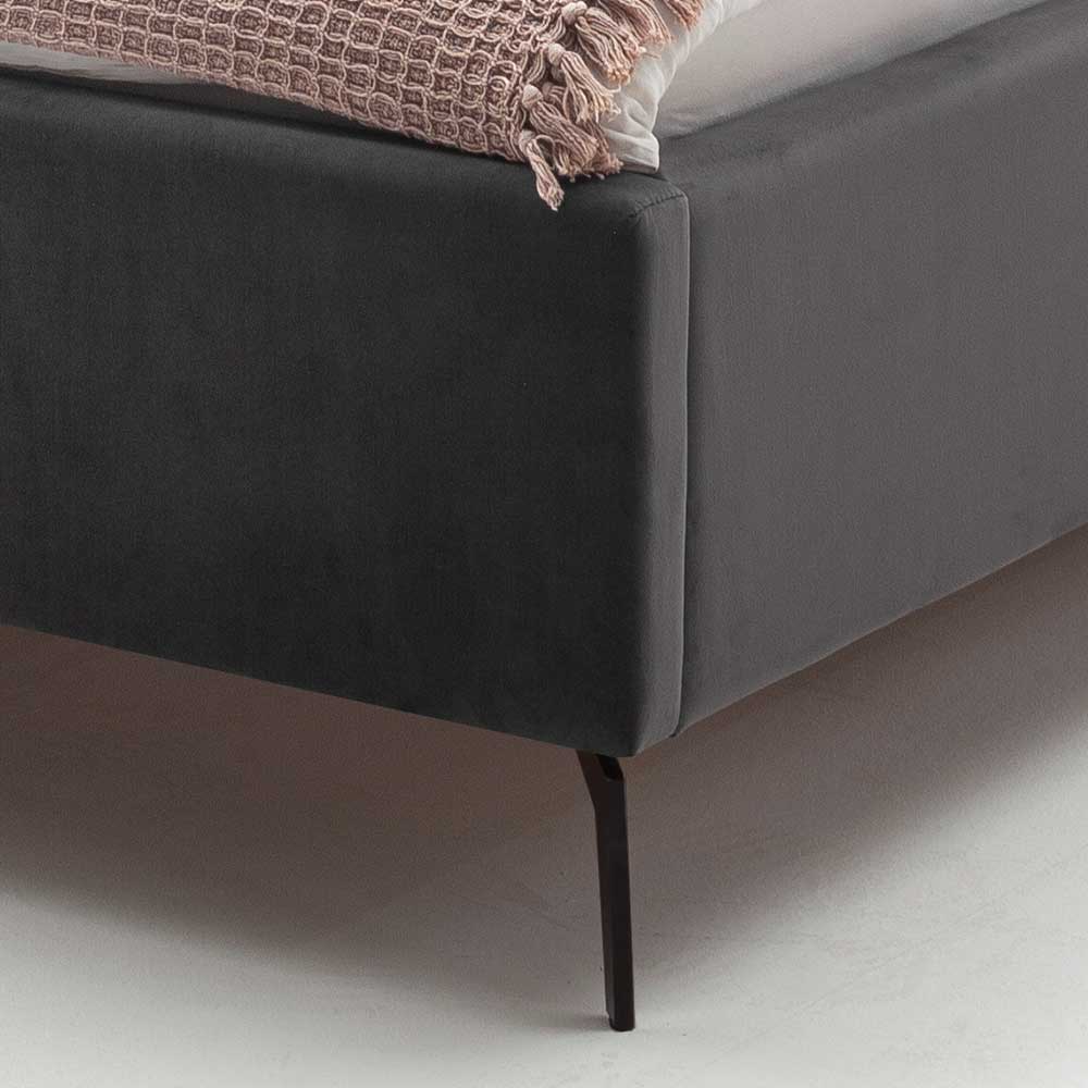 Chesterfield Samtbett in Anthrazit - Satos