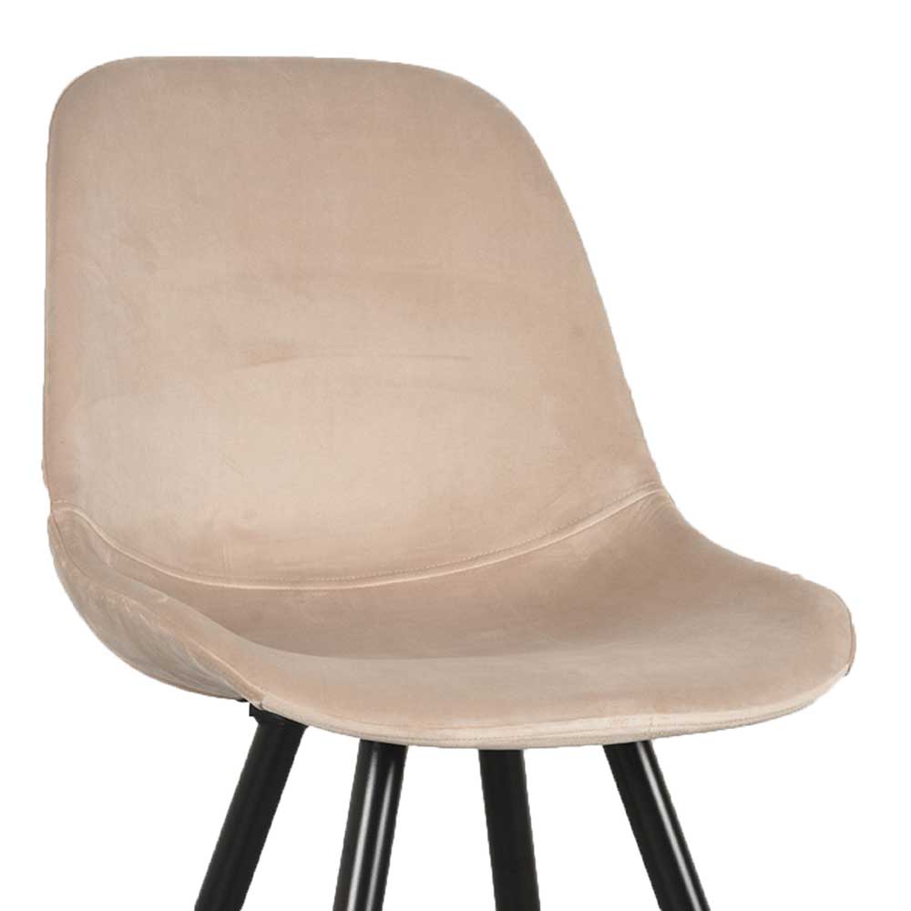 Samt Schalenstuhl in Beige - Jesafina (2er Set)