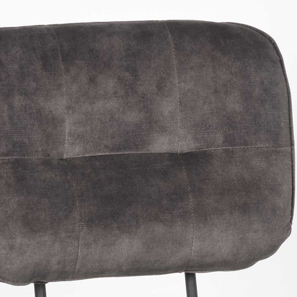 Esszimmer Veloursstühle in Anthrazit - Kanton (2er Set)