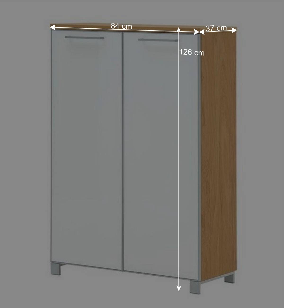 2 türiger Schuhschrank Wynoca in Weiß Glas beschichtet
