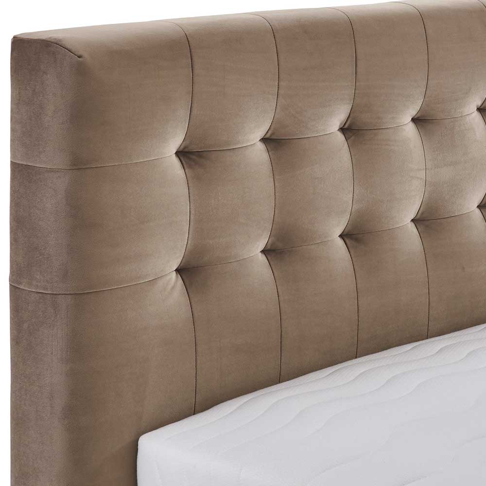 Samtbett in Taupe mit Bettkasten - Flight