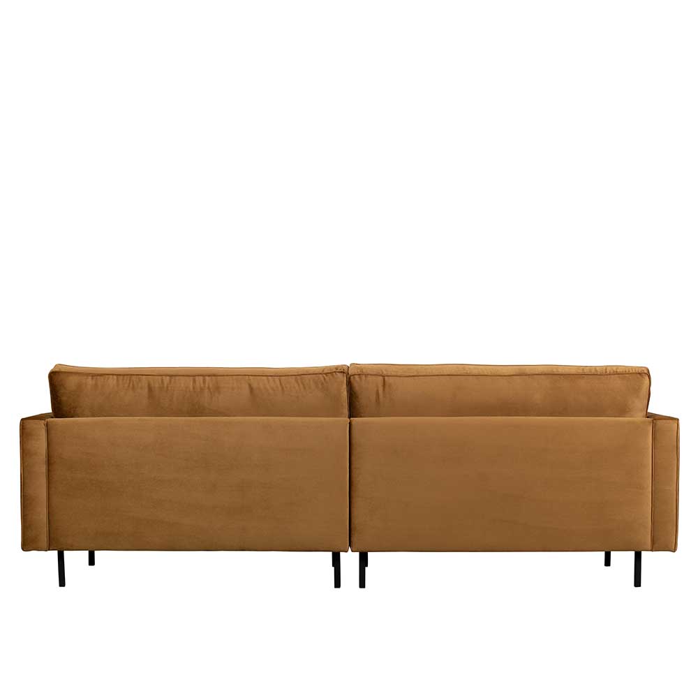 Honigfarbenes 2-Sitzer Samtsofa von hinten mit schwarzen Metallfüßen – Saguan