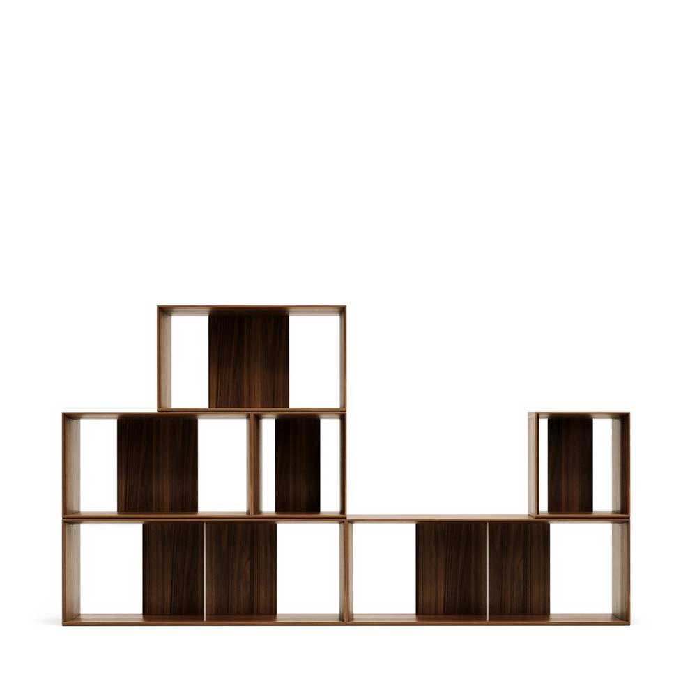 Regal Modul Kombi in Nussbaum - Ovarion (sechsteilig)