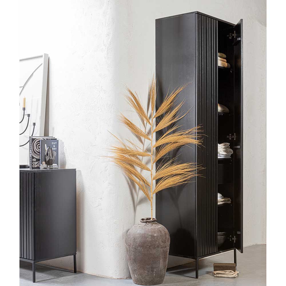 2-türiger Schrank in Schwarz - Gelvins