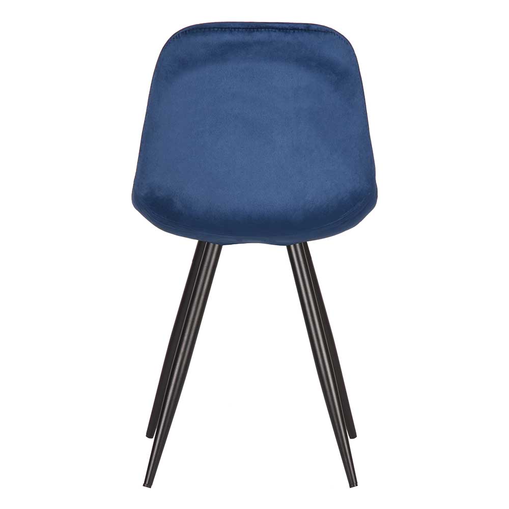 Rückenansicht eines blauen Samtstuhls mit eleganter Rückenlehne und schwarzen Beinen – Polar