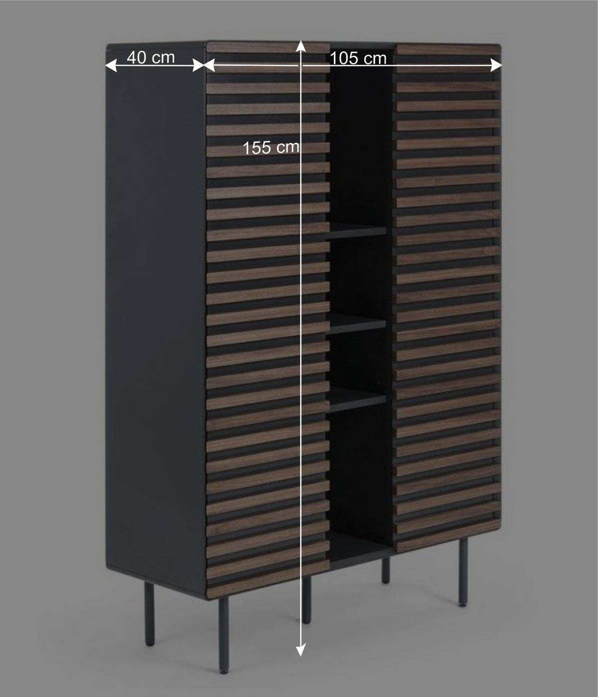 2-türiger Wohnzimmer Schrank Trupea mit Regal Bereich