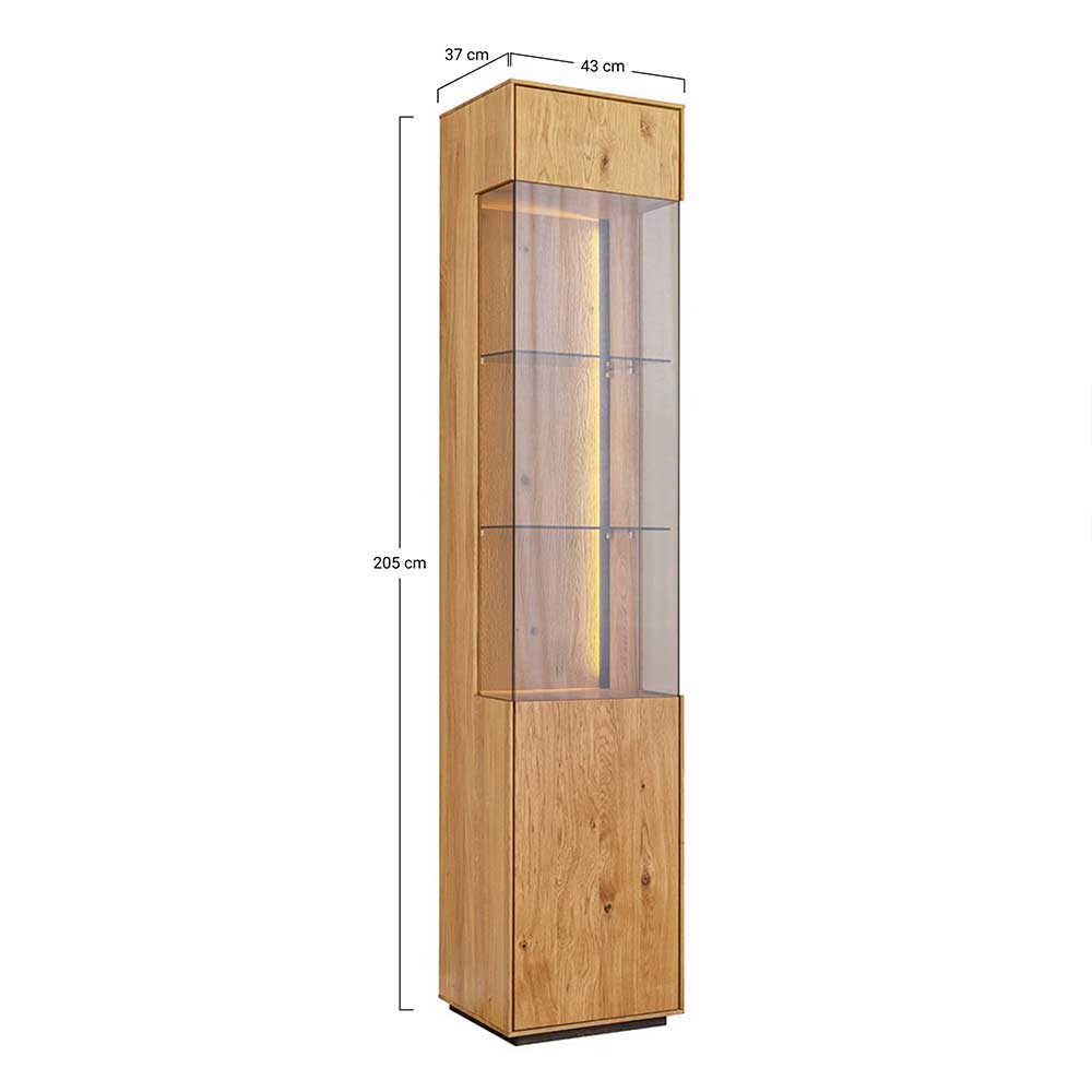 Schlanke Vitrine mit Glasfront und LED-Beleuchtung, Maße und Abmessungen – Cocondar