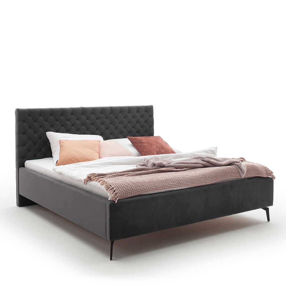 Chesterfield Samtbett in Anthrazit - Satos
