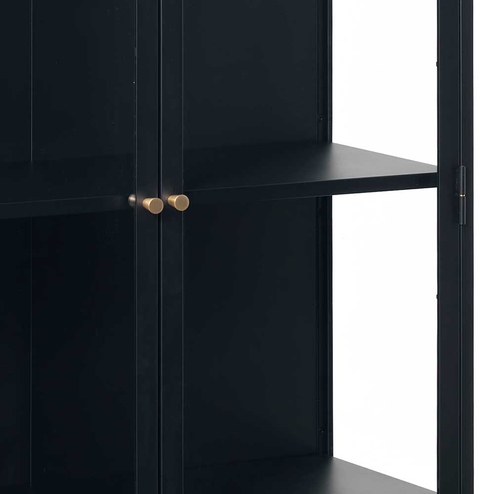 90x190x40 Doppeltür Vitrine aus Metall - Butoaie