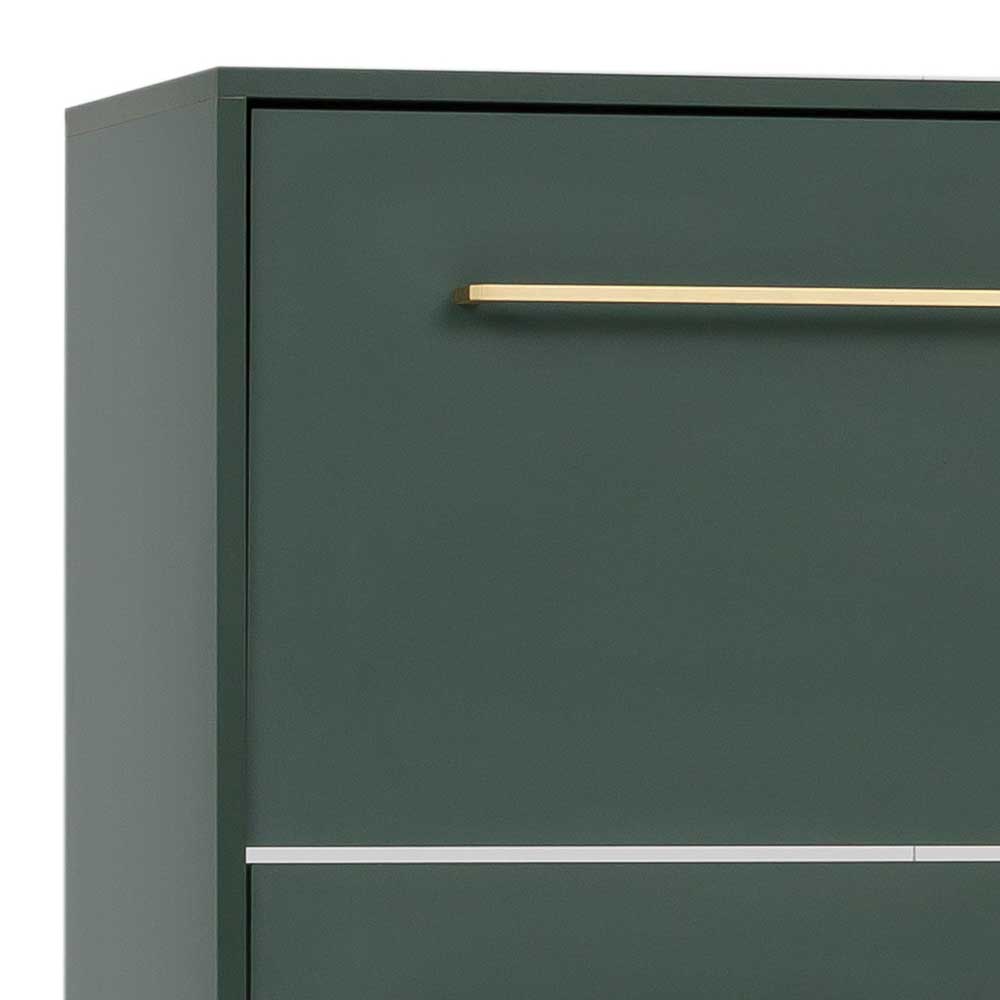 Dunkelgrüner Schuhschrank Detail mit goldfarbenem Griff und glatter Oberfläche – Aqua