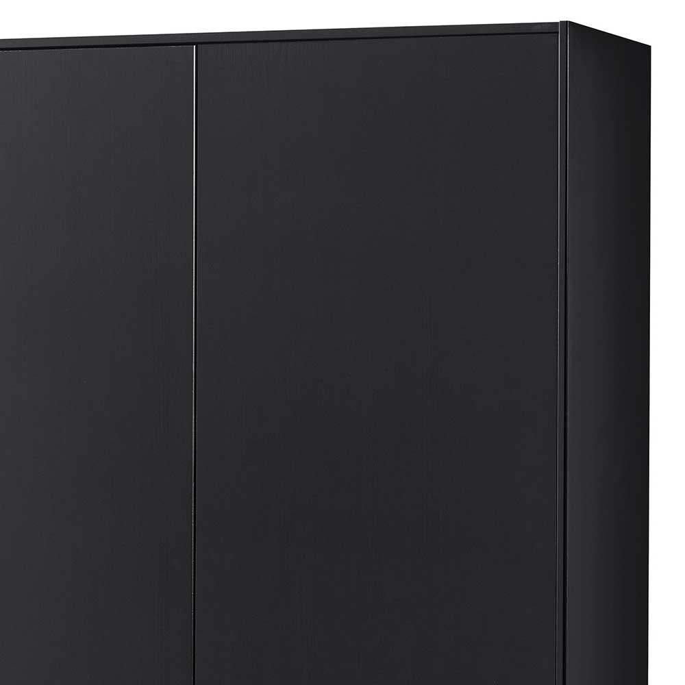 110x210x40 cm Kiefernholz Schrank teilmassiv in Schwarz - Niwidus