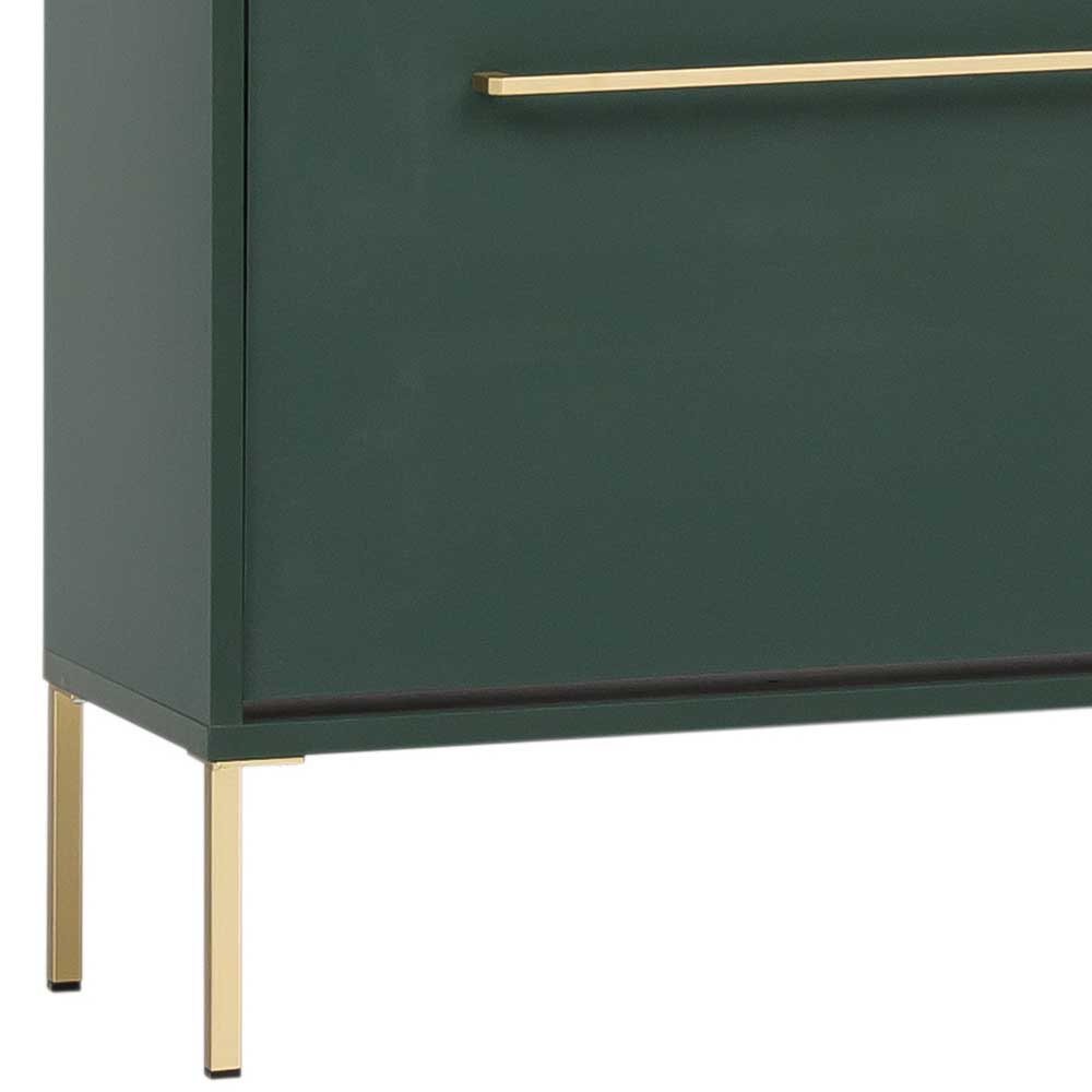 Dunkelgrüner Schuhschrank mit eleganten goldenen Metallfüßen als Standbeine – Aqua