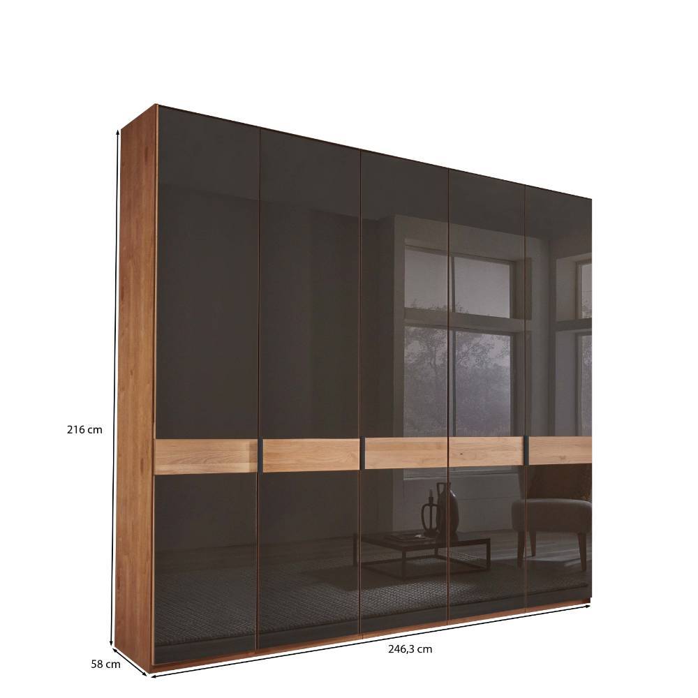 Glasfront-Kleiderschrank mit fünf Türen und Maßen 216x246,3x58 cm – Hung