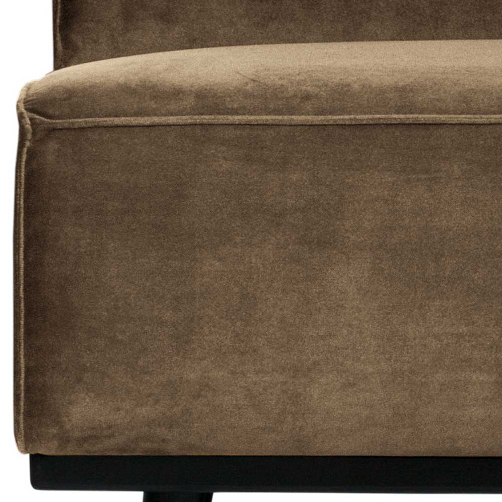 Federkern Sofamodul in Taupe Samtbezug - Cressedia