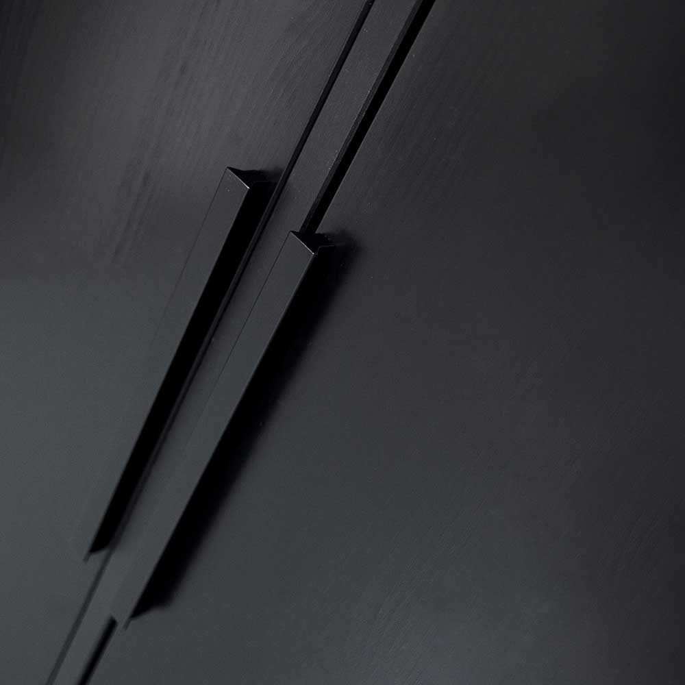 100x200x53 Schrank aus Kiefer in Schwarz - Drian